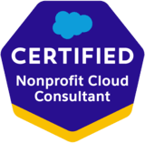 Nonprofit Cloud Consultant